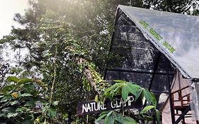 The Backyard Glamping Cameron Highlands